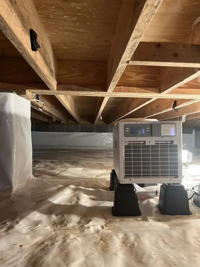 Drying equipment set under a High Point crawl space