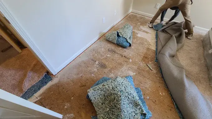 A crawl space vapor barrier dried out